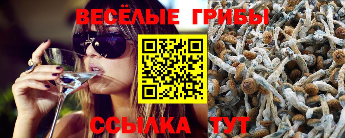 Галлюциногенные грибы Psilocybe  Вход с VPN  Клин  где купить   Галлюциногенные грибы Magic Shrooms 
